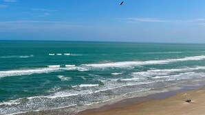 Una playa con olas, cielo despejado y un ave volando.