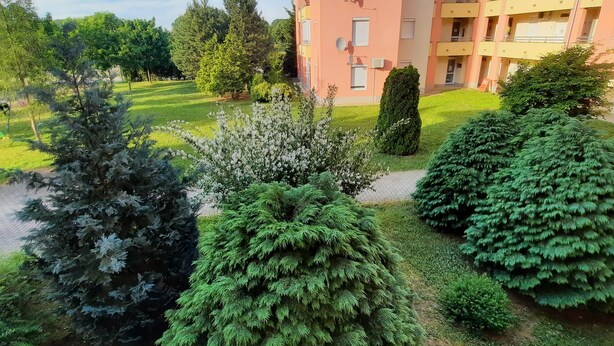 A residential building with multiple balconies, a well-maintained lawn, and various trees. - Apartment Golf in  the Spa of Bük, near thermal baths and golf course (Bük)