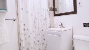 Regadera, secadora de cabello, toallas, jabón