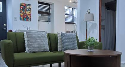 Spacious apartment in Long Island City with AC, WiFi