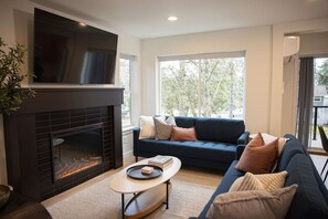 Smart TV, fireplace, books, stereo