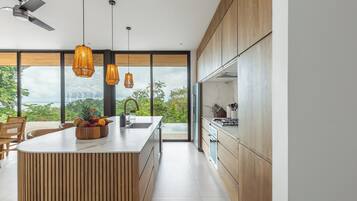 Fridge, oven, stovetop, dishwasher