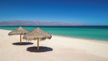 Plage, sable blanc, planche Ă voile