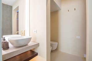 Regadera, secadora de cabello, bidet, toallas 