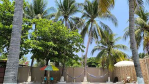 Una piscina rodeada de palmeras y un área verde.