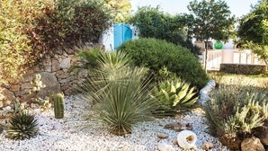 Un jardí amb diferents plantes, una paret de pedra i una caixa blava de serveis.