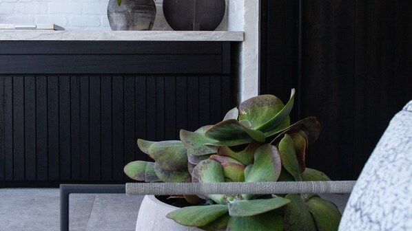 A potted plant with a drip irrigation system in a modern setting.