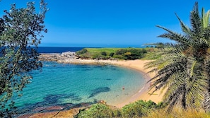 Playa