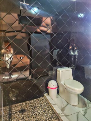 Deluxe-Suite | Badezimmer | Dusche, kostenlose Toilettenartikel, Handtücher, Seife