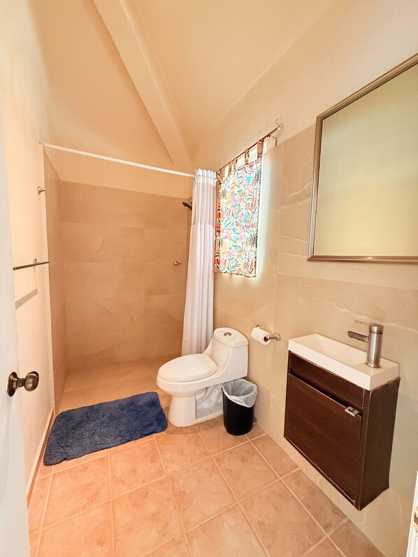 A bathroom with a shower, toilet, sink, and a mirror.