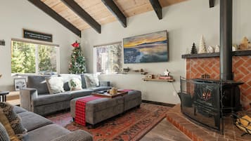 Smart TV, chimenea, reproductor de DVD y videoteca
