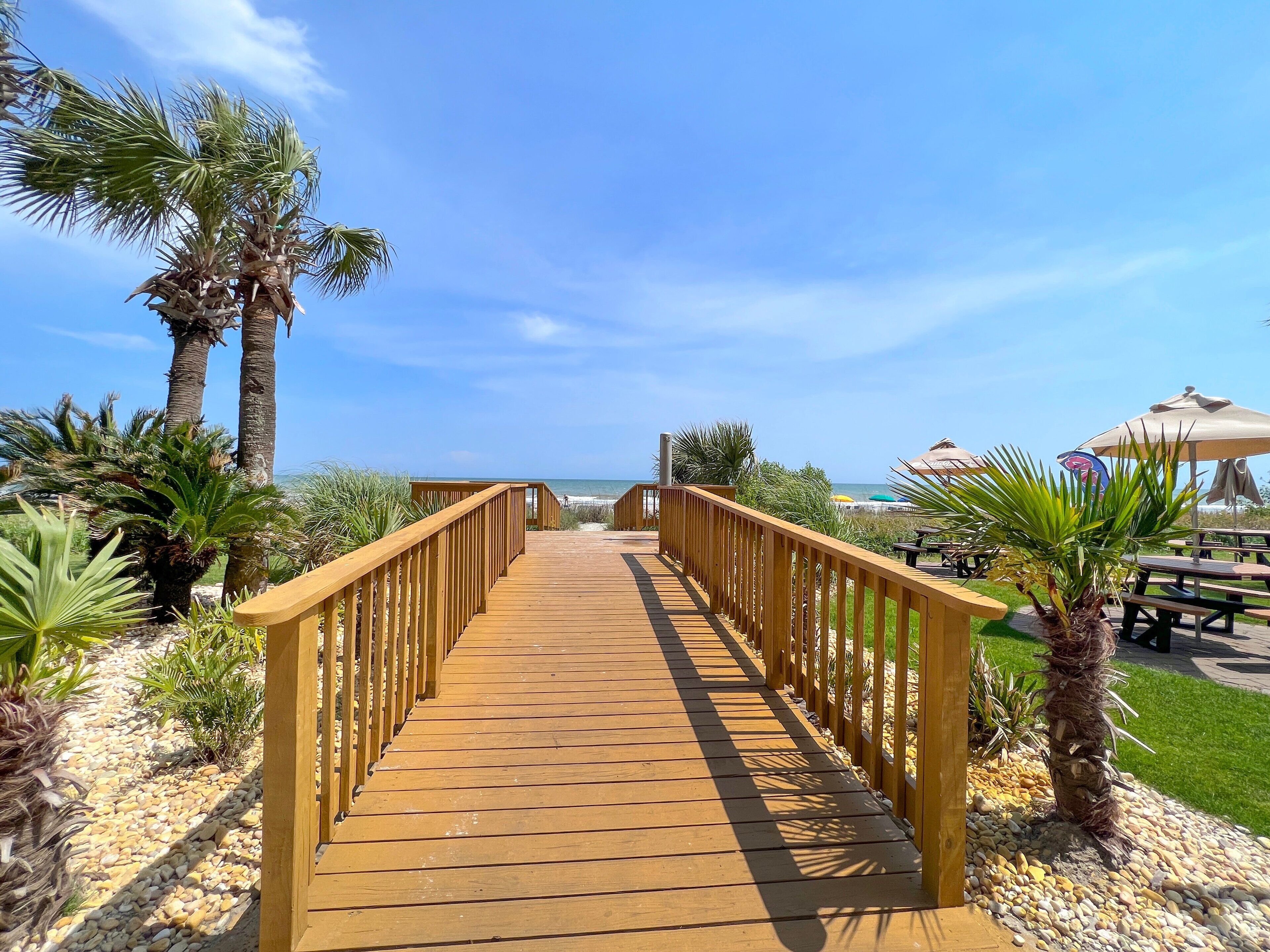 A wooden boardwalk leading to a beach with palm trees and a clear sky.