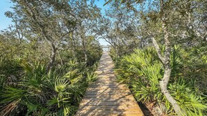 Un sentier en bois bordé d’une végétation luxuriante et d’arbres, qui mène à un bâtiment situé au loin.