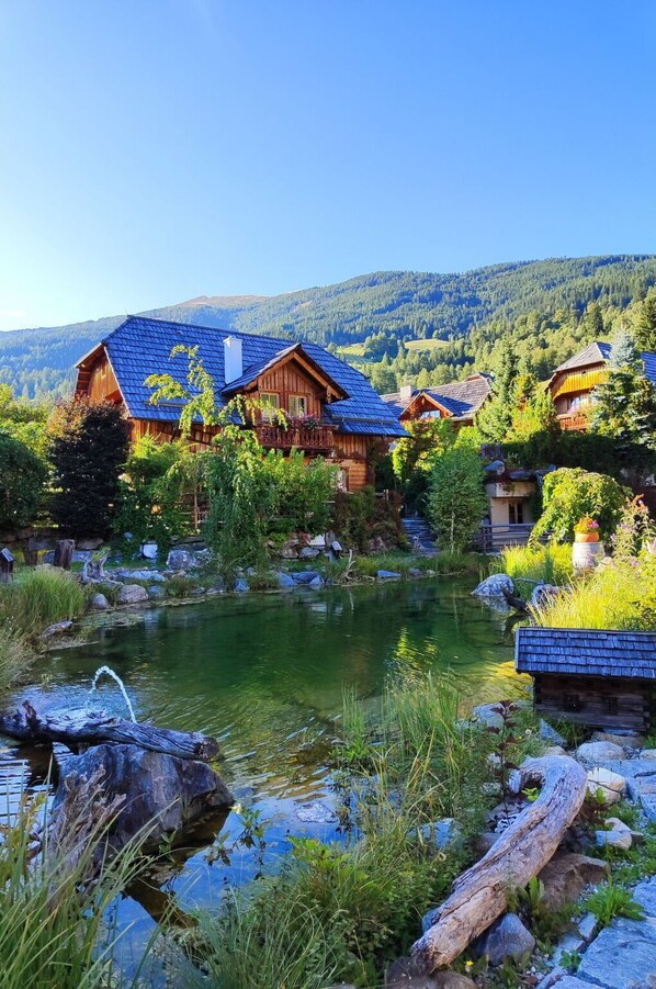 المنطقة المحيطة بالمنشأة