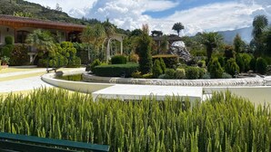 A landscaped garden with a fountain, palm trees, and a building with a red roof. - Patate Lodge (Patate)