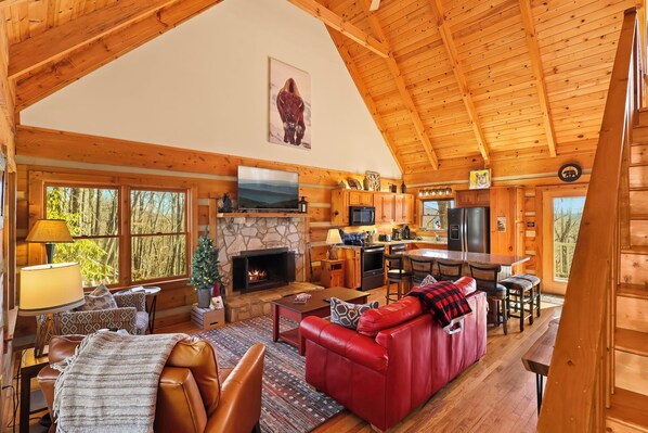 Smart TV, fireplace, books