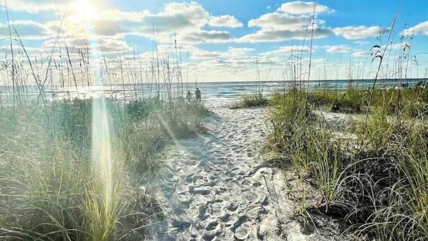 En sandig stig som leder längs stranden, med högt gräs och en klar himmel.