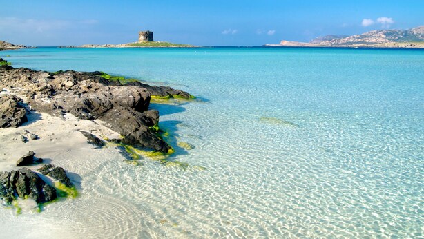 A coastal scene with clear turquoise waters, rocky shoreline, and a distant island with a structure. - Capo Falcone Charming Apartment by Interhome (Stintino)