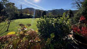 Ein gepflegter Garten mit Rasen, verschiedenen Sträuchern und blühenden Pflanzen.