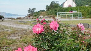 Una chiesa con un campanile alto, un campo da calcio e fiori rosa in primo piano.