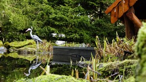 A serene pond with a wooden structure, surrounded by lush greenery and a dense forest in the background. - Apartment Elwi by Interhome (Hahnenklee)