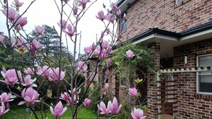 Une maison en briques avec un jardin agrémenté de magnolias roses en fleurs.