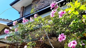 Une maison en briques avec une porte de garage, un balcon et une plante grimpante aux fleurs roses.