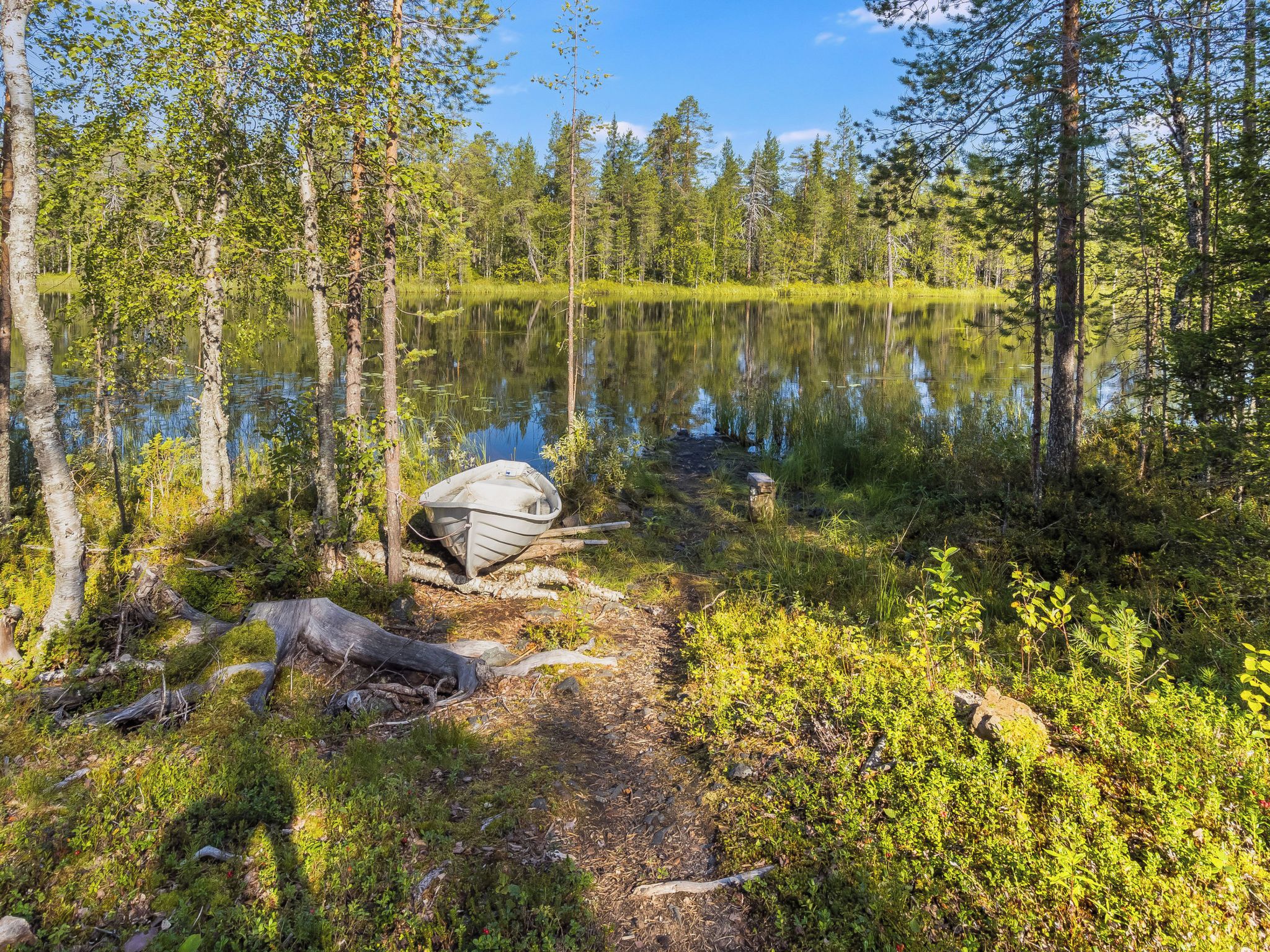 A serene lakeside setting with a canoe tied to a tree, surrounded by dense forest and a calm body of water.