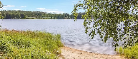 A lakeside view with a sandy beach and dense greenery.