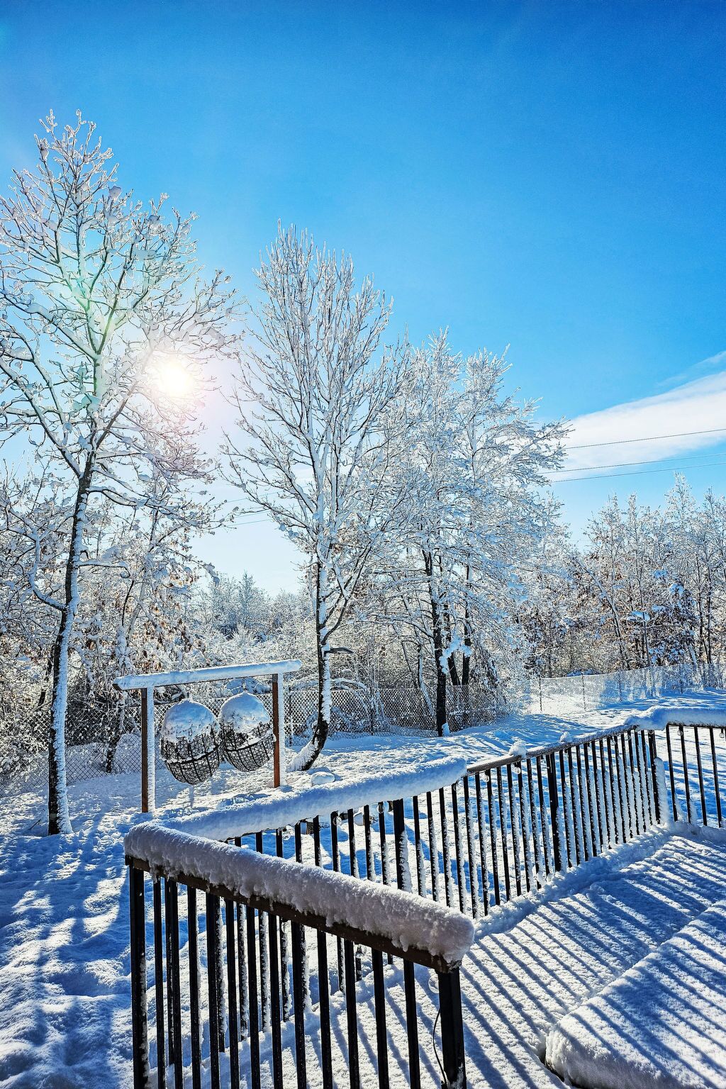 Un espace extérieur enneigé, délimité par une clôture en bois et bordé d’arbres sans feuilles.