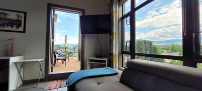 Unique Luxury penthouse/ large deck Playa del Sol