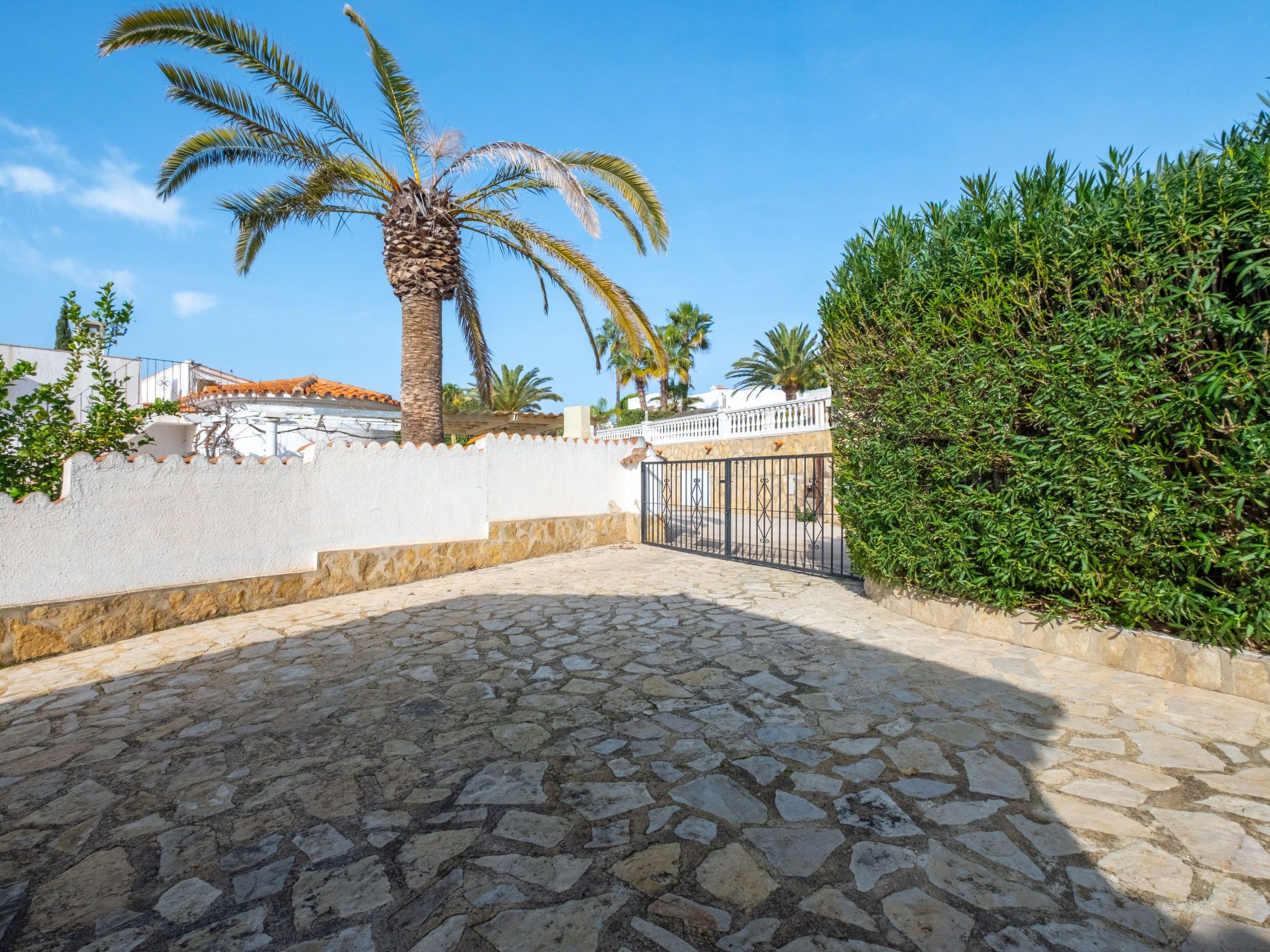 A courtyard with a cobblestone floor, a palm tree, and a hedge.