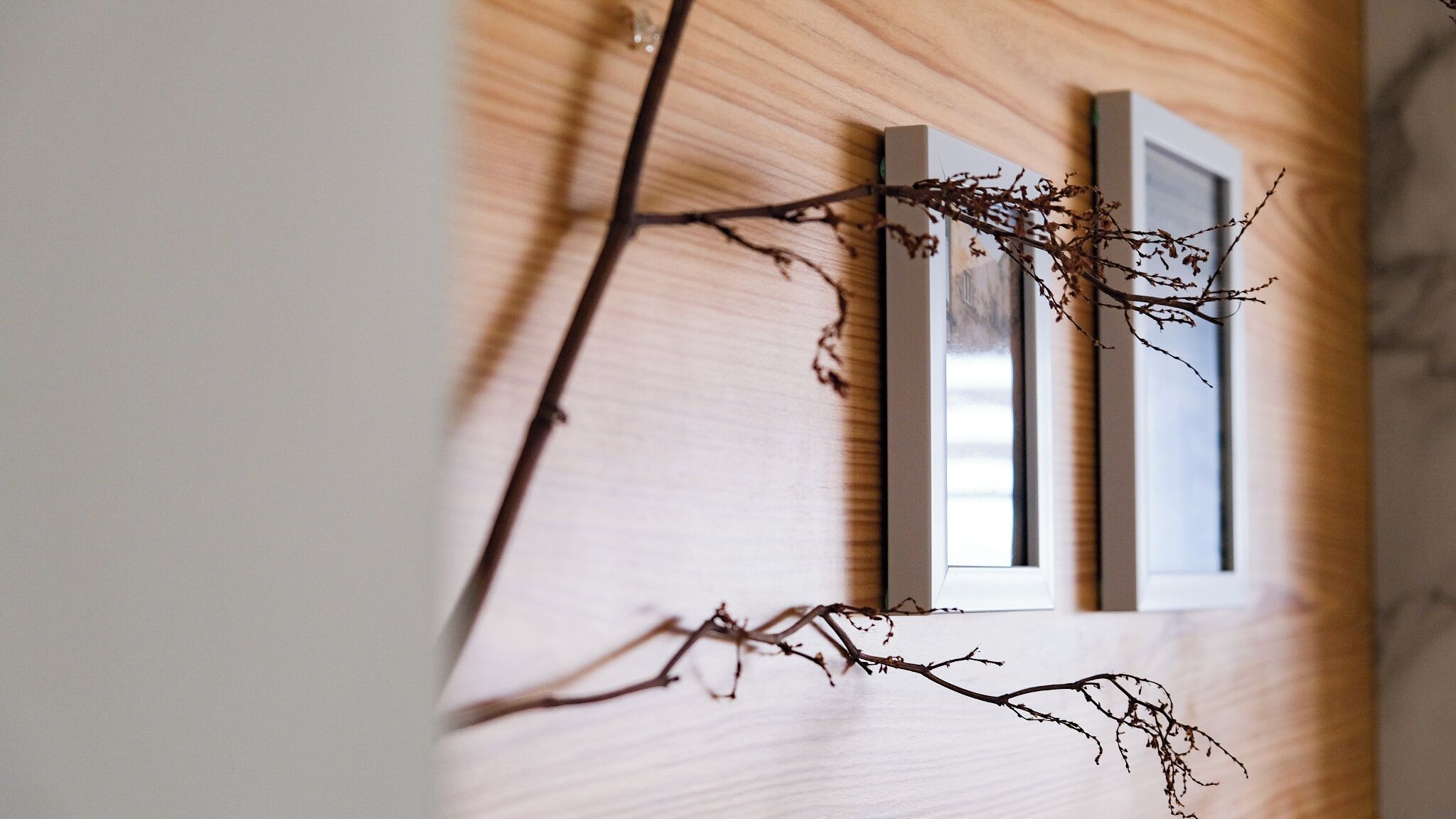 A wooden wall with two vertical blinds and a branch with dried leaves.