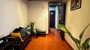 A hallway with a sofa, a TV, and potted plants.