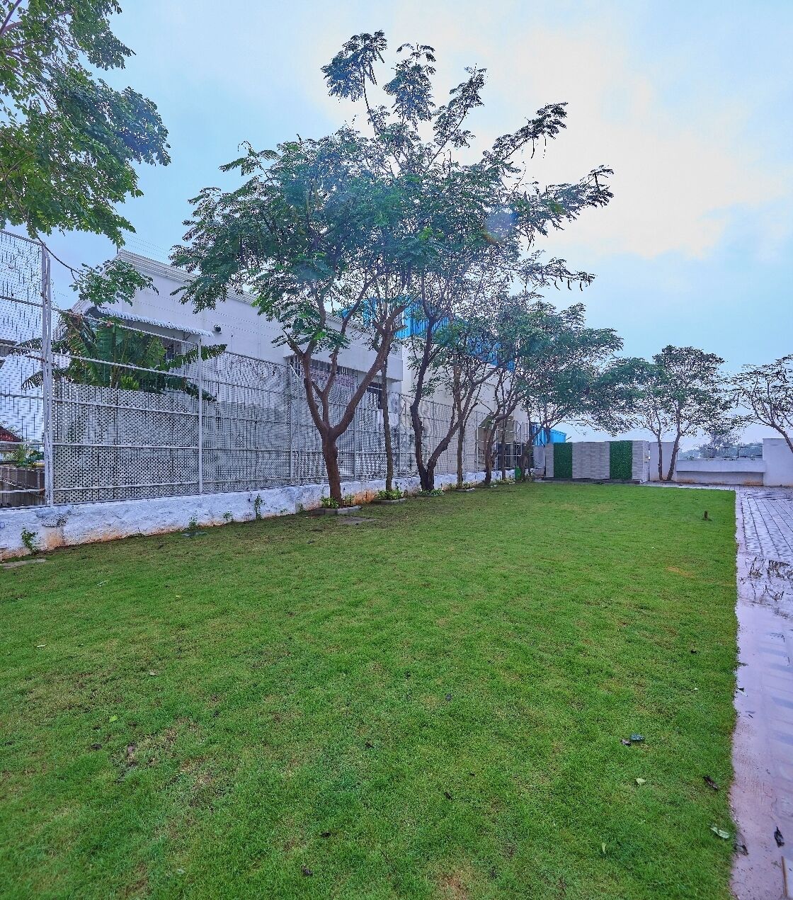A grassy outdoor area with trees and a fence.