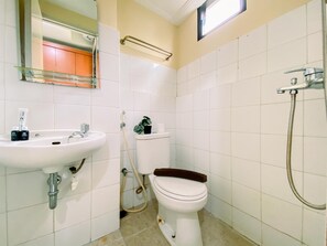 Bathroom features a sink, mirror, toilet, and shower with handheld showerhead.