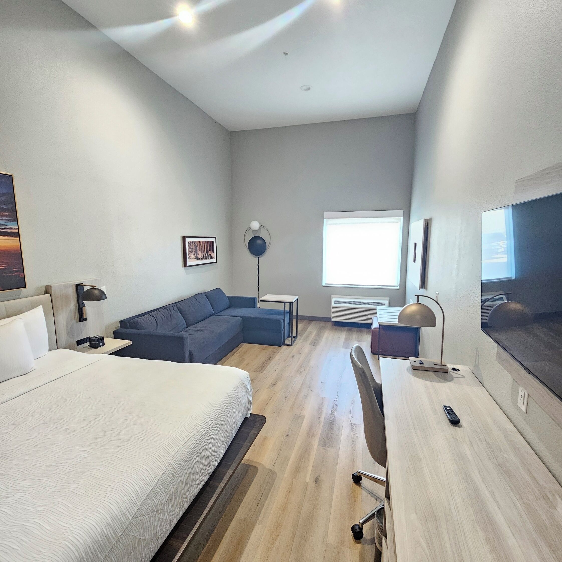 Suite, 1 King Bed with Sofa bed