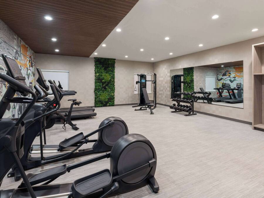 A gym with treadmills, a weight bench, and a mirrored wall.