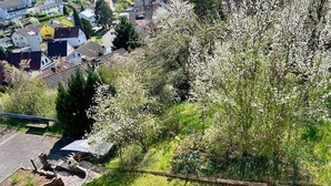 Un quartier résidentiel avec un jardin, une statue et des maisons en arrière-plan.
