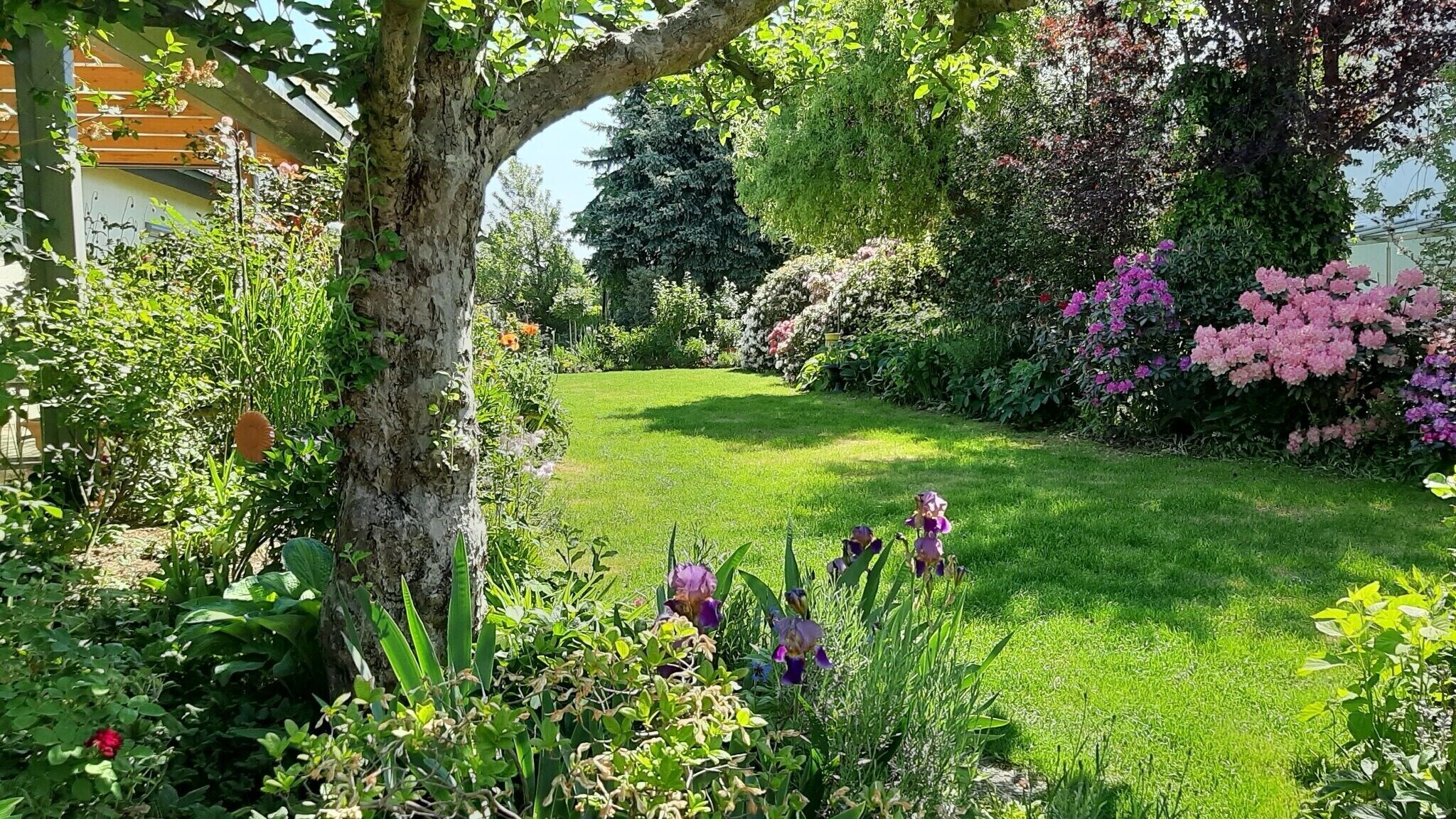 Jardines del alojamiento