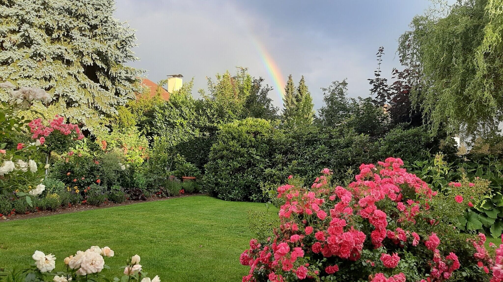 Un jardín con césped, arbustos diversos y plantas con flores.