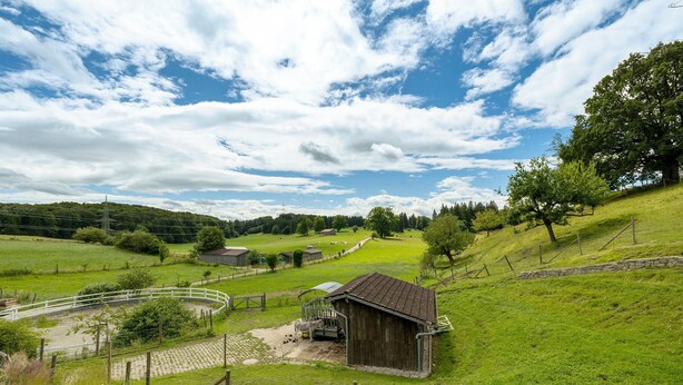 Un paysage rural avec une grange en bois, un chemin de terre et une zone délimitée par une clôture.