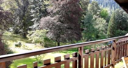 "Le Charme d'Antan" - 5 couchages - Ă 100m du lac