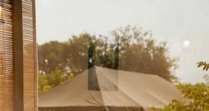 Jungle Book - A Nature Escape