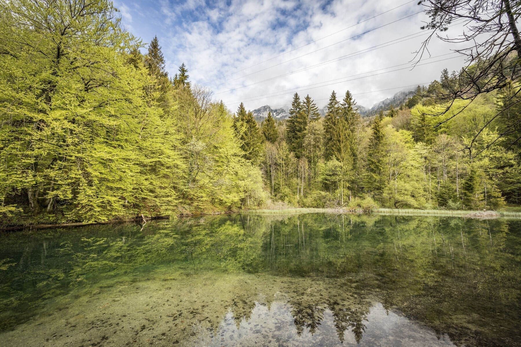 Ein klarer See, umgeben von dichtem Wald, mit Bergen im Hintergrund.