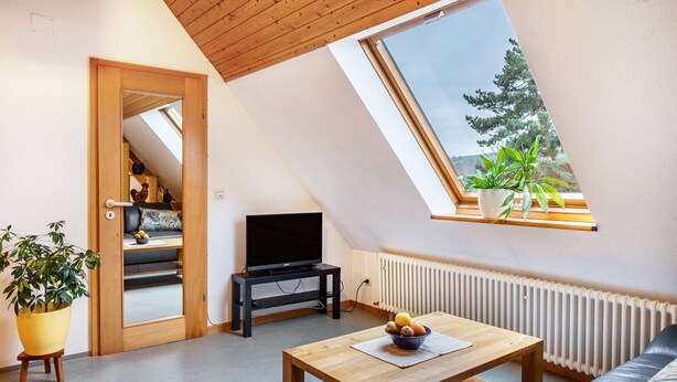 Un salon moderne avec un plafond en pente, un téléviseur, une table en bois sur laquelle se trouve un saladier rempli de fruits, un canapé et une fenêtre ornée de plantes.