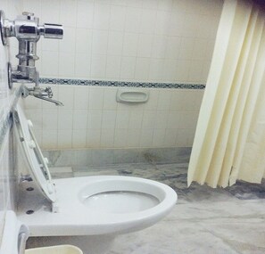 Classic Double or Twin Room | Bathroom | Shower, free toiletries, towels, soap - Hotel Marble Palace  (Khajuraho)