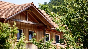 Ein Holzhaus mit geneigtem Dach und mehreren Fenstern.