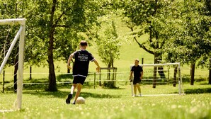 Ein Fußballfeld mit Toren und Netz, umgeben von Bäumen und Gras.