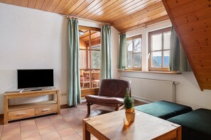 TV, table tennis - Apartment 'Kinzigstuben' with Mountain View, Shared Terrace and Wi-Fi (Alpirsbach)